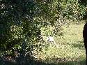 Buddy 1st in OSD on the edge find.