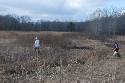 Who said girls can't play with the boy's. Melissa coming off Jett's first find where Doug's dog backed. Getting ready to turn them loose again.