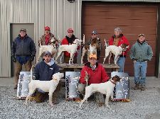 Callback dogs.

Front row.  Wild Covey Heatwave/Tony King and Greypointe Fandango/Doug Meyer.
Back row.  Hard Rappin Sarah/Alan Worth, Lucinda/Chris Gebhardt, Penrosa Knox/Tim Penn, and Trader's Sugarknoll Buck/Keith Foreman.  
