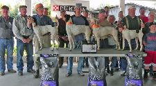 2012 Futurity Placements