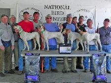 2012 Kilgore Puppy Classic Placements