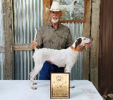 Craig Hiatt with the NBHA Amateur Shooting Dog of the Year winner, Craig's Runin Roxie
