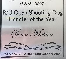 Sean Melvin was the NBHA Runner-Up Open Shooting Dog Handler of the Year award winner. Sean was also the NBHA Runner-Up Open Derby Handler of the Year award winner.
