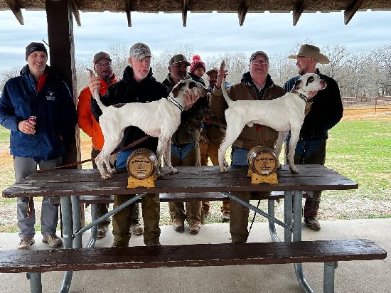 Winners of the 2023 Region 7 Amateur Walking Shooting Dog Championship – (l-r) Jason Super, Judge Tony Miller, R/U Ch. Klaus Schmidt w/ Magic Maggie Mae, Judge Matthew Rafferty, Emery Gardner, Weldon Gardner, Chamion KC’s Tye Oneon w/Ken Sauer, and Matthew Puckett