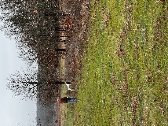 Clay Erwin and Jenny with a at the 15 minute mark.
